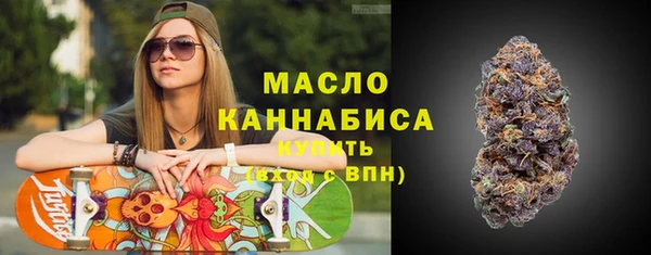 индика Богородск