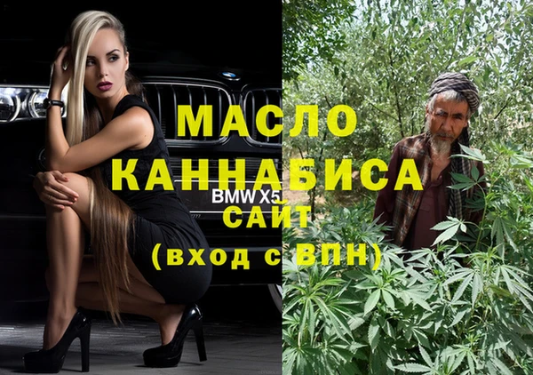 индика Богородск