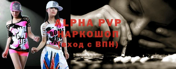 индика Богородск