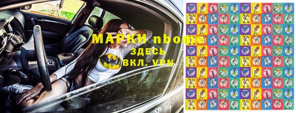 индика Богородск