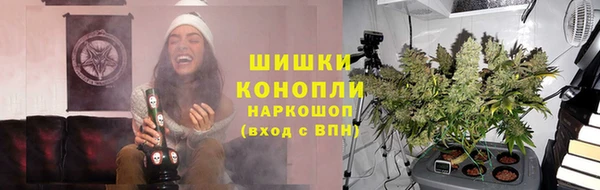 индика Богородск