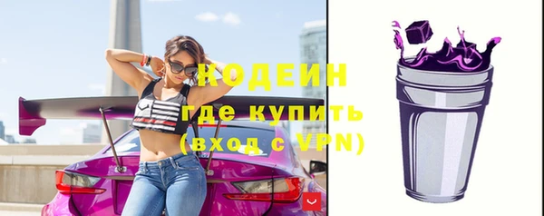 индика Богородск