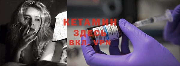 индика Богородск