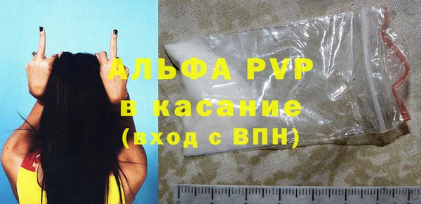 индика Богородск