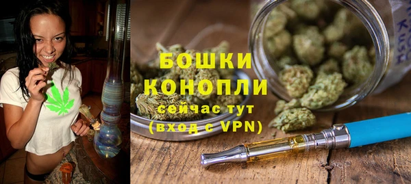индика Богородск