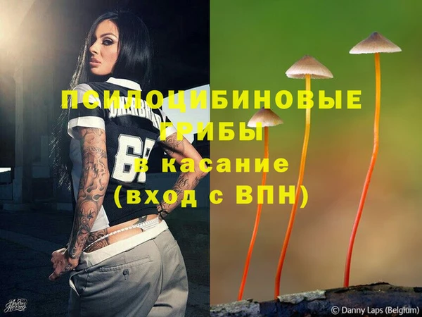 индика Богородск
