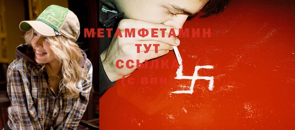 индика Богородск