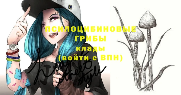 эйфоретик Богородицк