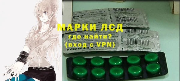 индика Богородск